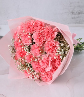 Pink Carnations