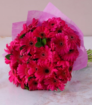 Pink Gerbera Bouquet