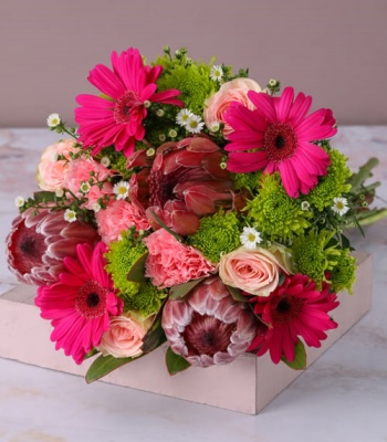 Pink Proteas and Petals