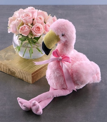 Pink Roses And Flamingo Teddy Gift