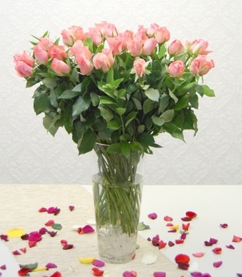 Pink Roses In Vase