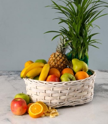 Plant and Fruit Basket