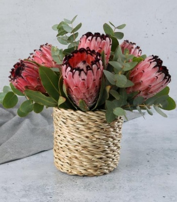 Protea and Roses in Crate