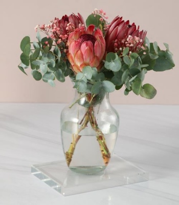 Proteas in Hurricane Vase