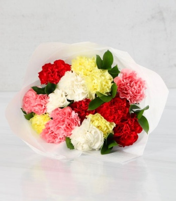 Rainbow Carnations Bouquet