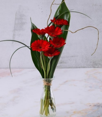 Red Gerbera Flowers In Vase