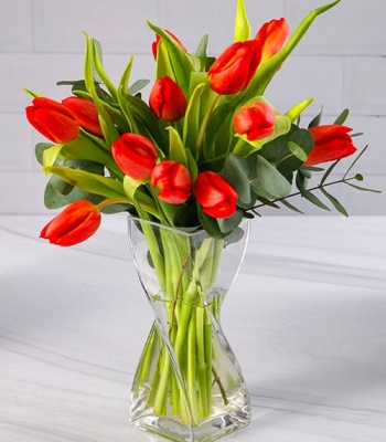 Red Tulip Arrangement - 10 Stems