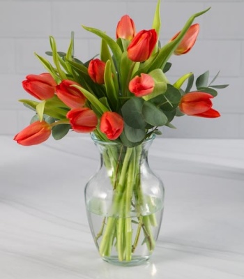 Red Tulip Arrangement