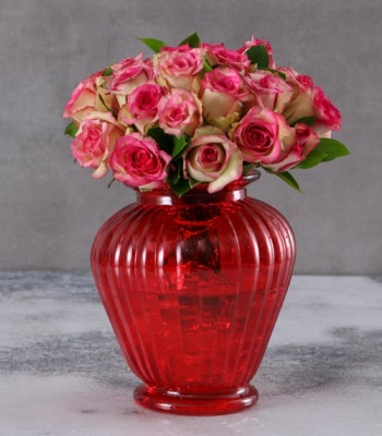 Roses In Red Vase