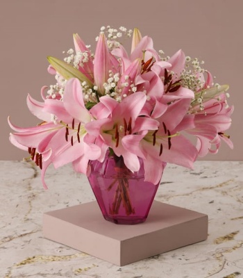 Stargazer Lilies In Pink Vase