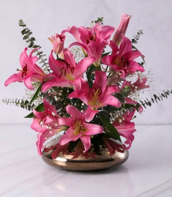 Stargazer Lilies