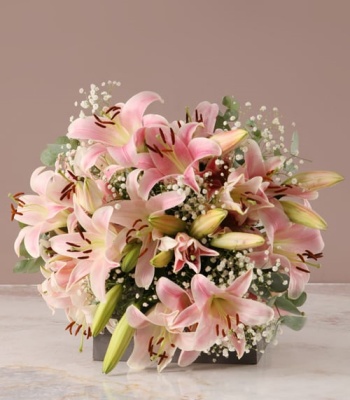 Stargazer Lily Bouquet