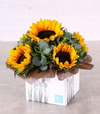 Sunflower Arrangement In Box