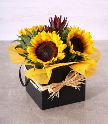 Sunflower In Box