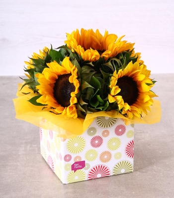 Sunflowers In Box