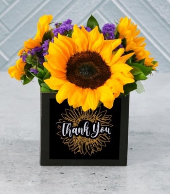 Sunflowers in Box