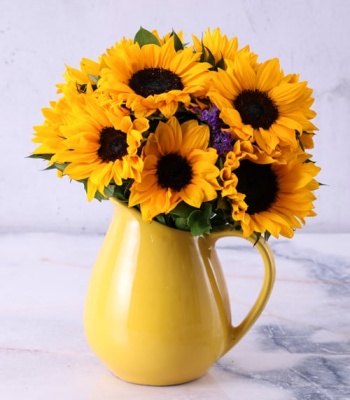 Sunflowers In Ceramic Water Jug