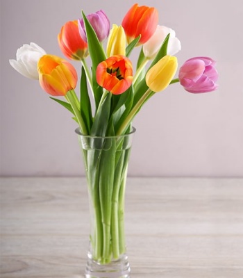 Tulip Flower Bouquet