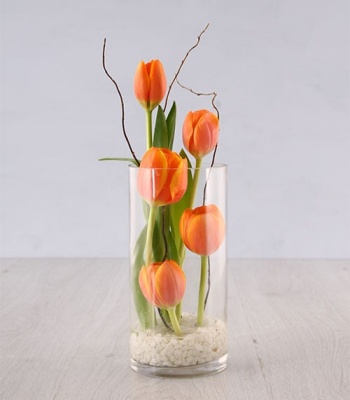 Tulips In Cylinder Vase