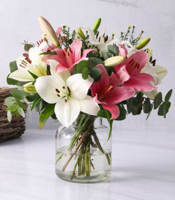 White and Pink Lilies