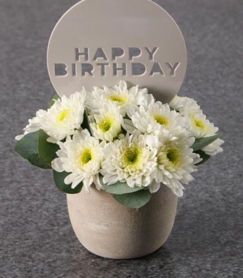 White Birthday Flowers Arrangement