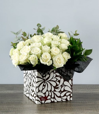 White Rose In Box