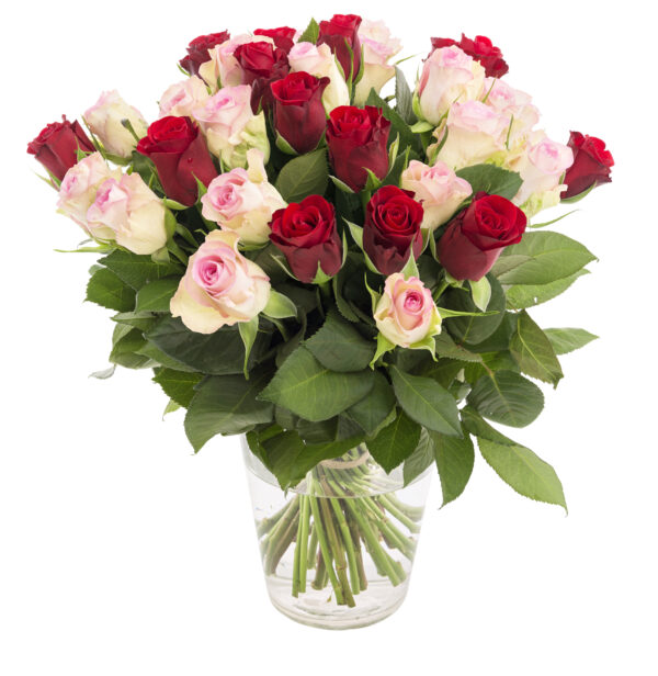 36 Red & Pink Roses in a Glass Vase