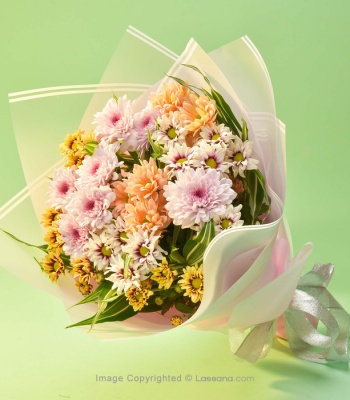 Chrysanthemums - 15 Stems