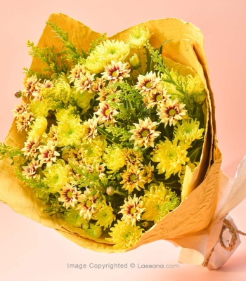 Chrysanthemums - 16 Stems