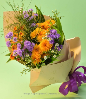 Chrysanthemums And Daisy Flowers