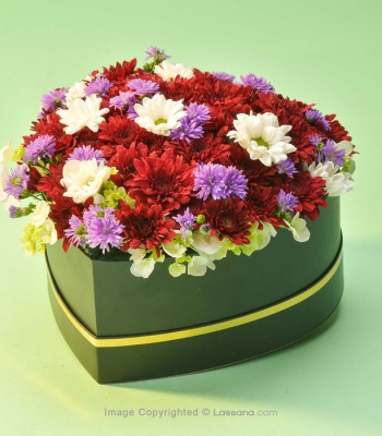 Chrysanthemums Flowers - 19 Stems