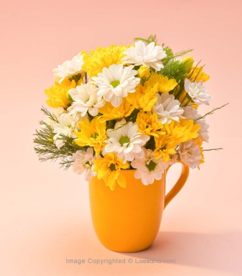 Chrysanthemums Flowers in Yellow Mug