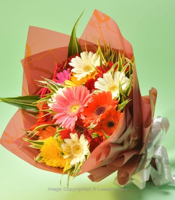 Gerbera Flower Bouquet - 15 Stems