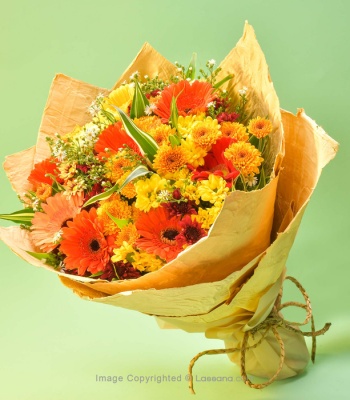 Gerberas And Chrysanthemum Flowers