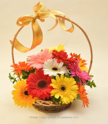 Gerberas Flower Arrangement