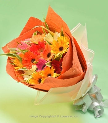 Mix Gerbera Bouquet