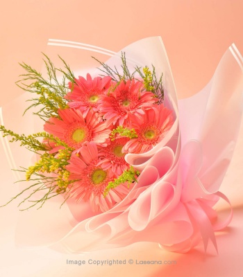 Pink Gerberas - 12 Stems