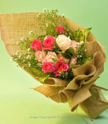 Pink Roses - 12 Stems