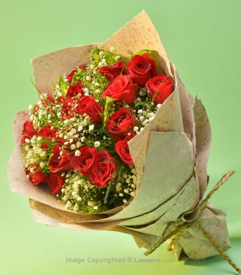 Red Roses - 20 Stems