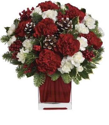 Christmas Carnations Red & White In Bright Red Glass Cube