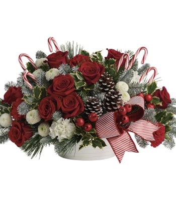 Christmas Roses & Winter Greens With Candy Canes & White Bowl