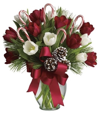 Christmas Tulips With Candy Canes