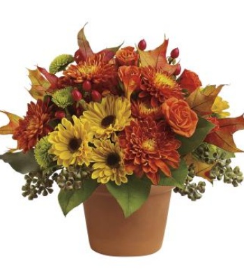 Chrysanthemums Flower Bouquet