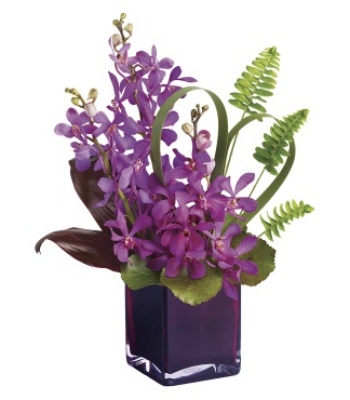 Purple Orchids