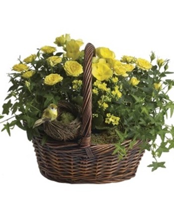 Yellow Trio Basket