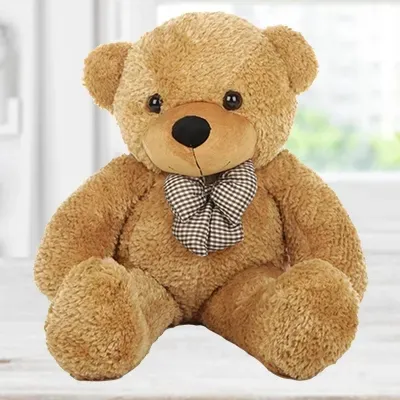 Size Teddy - Medium