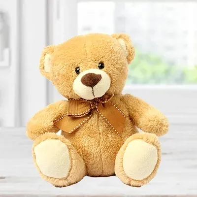 Teddy Bear Small