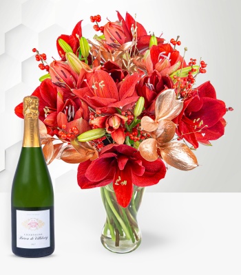 Amaryllis Flowers with Champagne