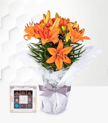 Asiatic Lily Gift Set