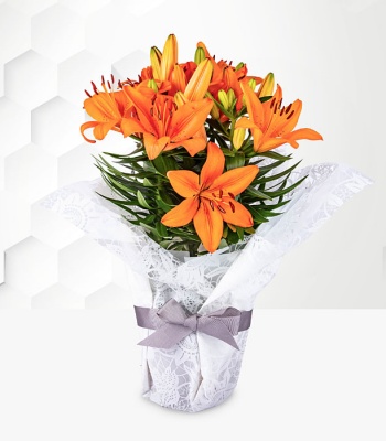 Asiatic Orange Lily Bouquet